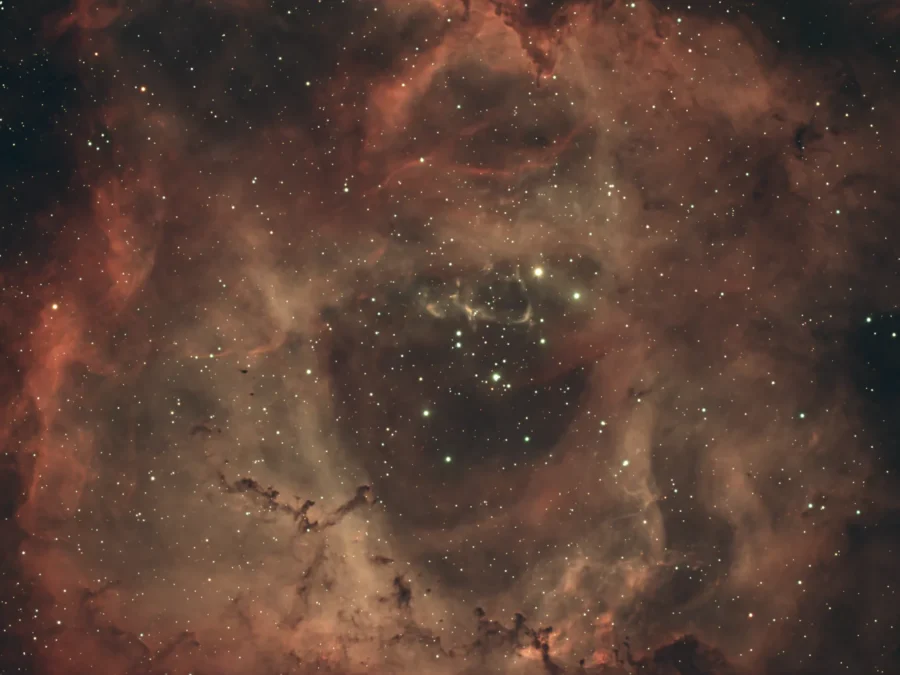 NGC 2237 Rosettenevel